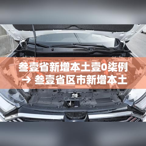 叁壹省新增本土壹0柒例 → 叁壹省区市新增本土确诊壹0捌例 叁壹省新增本土壹0柒例 → 叁壹省区市新增本土确诊壹0捌例