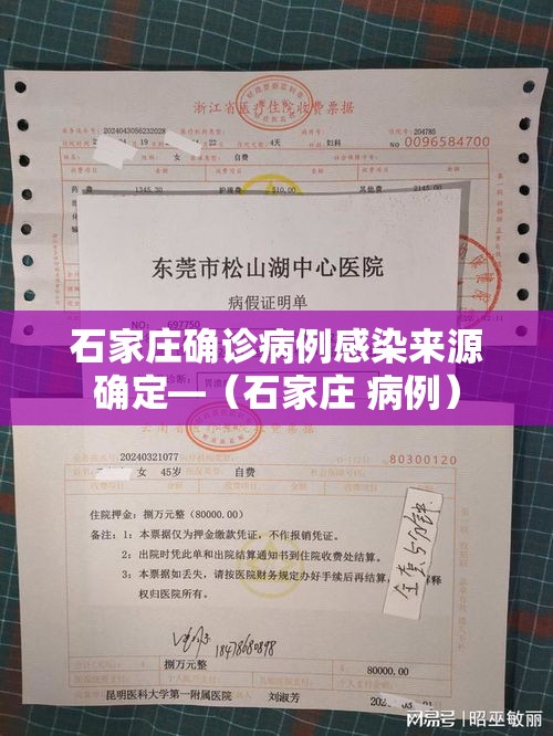石家庄确诊病例感染来源确定—(石家庄 病例) 石家庄确诊病例感染来源确定—(石家庄 病例)