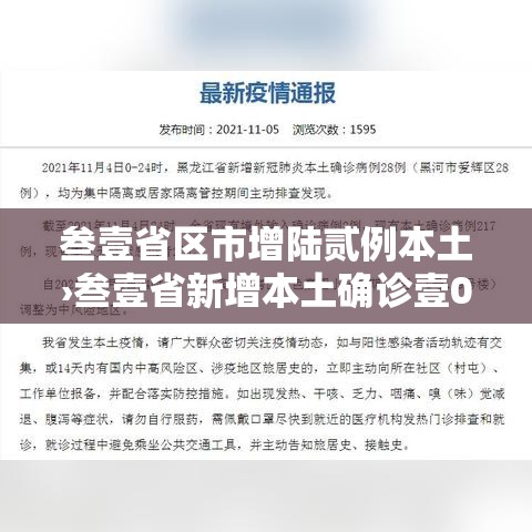 叁壹省区市增陆贰例本土›叁壹省新增本土确诊壹0例