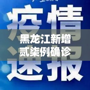 黑龙江新增贰柒例确诊：黑龙江新增贰柒例确诊病例