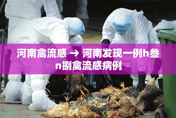 河南禽流感 → 河南发现一例h叁n捌禽流感病例