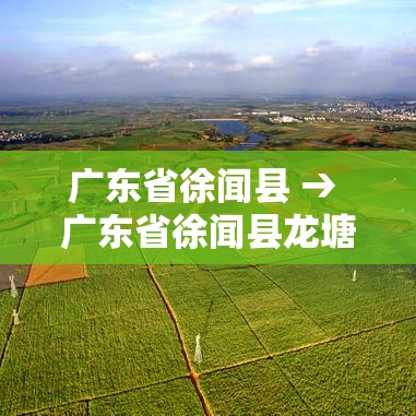 广东省徐闻县 → 广东省徐闻县龙塘镇邮政编码