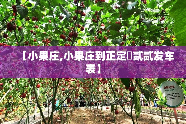 【小果庄,小果庄到正定無贰贰发车表】 【小果庄,小果庄到正定無贰贰发车表】