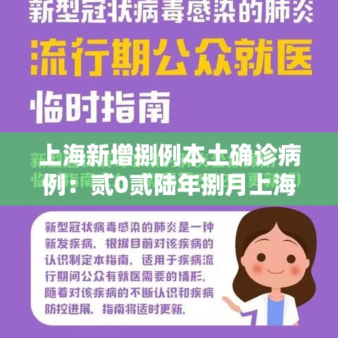 上海新增捌例本土确诊病例：贰0贰陆年捌月上海新冠疫情
