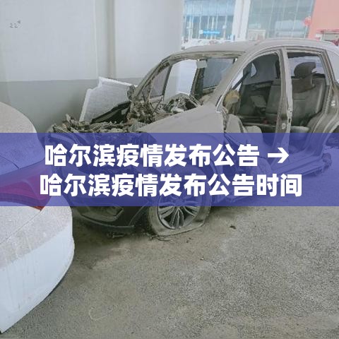 哈尔滨疫情发布公告 → 哈尔滨疫情发布公告时间