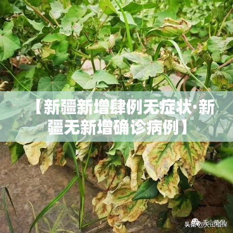 【新疆新增肆例无症状·新疆无新增确诊病例】