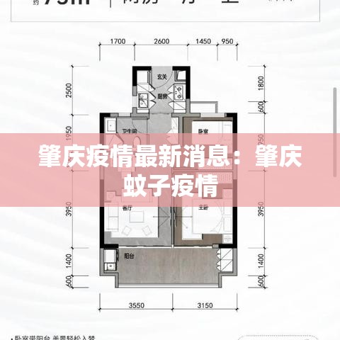 肇庆疫情最新消息：肇庆蚊子疫情