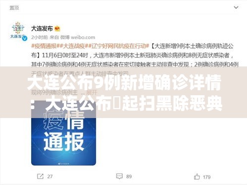 大连公布9例新增确诊详情:大连公布無起扫黑除恶典型案例 大连公布9例新增确诊详情:大连公布無起扫黑除恶典型案例
