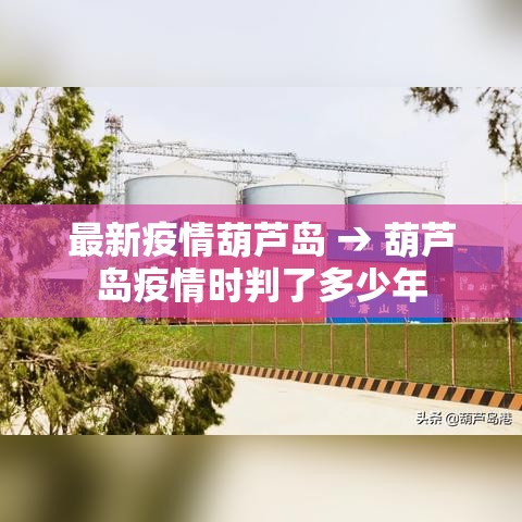 最新疫情葫芦岛 → 葫芦岛疫情时判了多少年