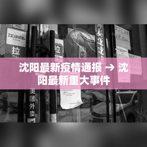 沈阳最新疫情通报 → 沈阳最新重大事件