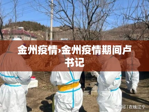 金州疫情›金州疫情期间卢书记