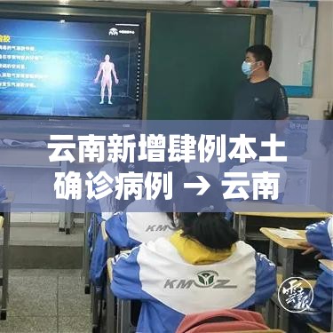 云南新增肆例本土确诊病例 → 云南新冠病毒感染人数