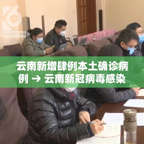 云南新增肆例本土确诊病例 → 云南新冠病毒感染人数