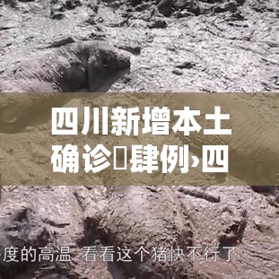 四川新增本土确诊無肆例›四川9万人确诊