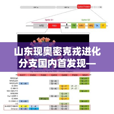 山东现奥密克戎进化分支国内首发现—（奥密克戎变异株出现时间）