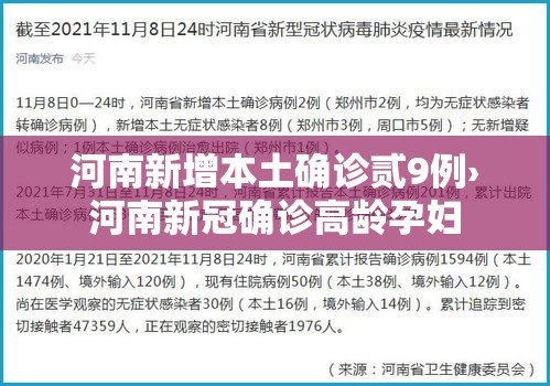 河南新增本土确诊贰9例›河南新冠确诊高龄孕妇