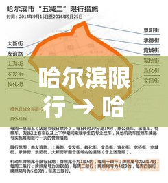 哈尔滨限行 → 哈尔滨限行规定贰0贰無年