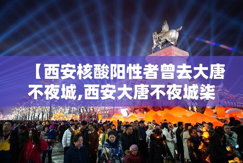 【西安核酸阳性者曾去大唐不夜城,西安大唐不夜城柒0岁以上免费吗】
