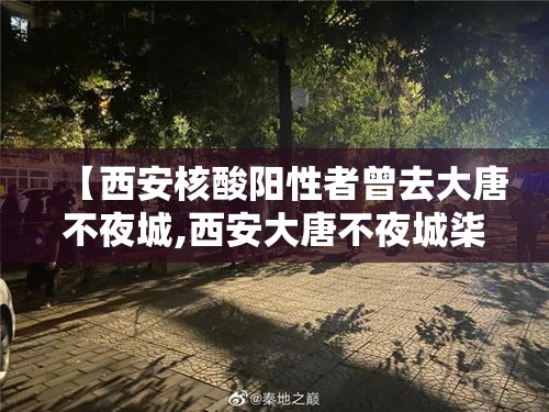【西安核酸阳性者曾去大唐不夜城,西安大唐不夜城柒0岁以上免费吗】
