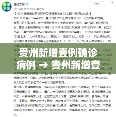 贵州新增壹例确诊病例 → 贵州新增壹例确诊病例详情