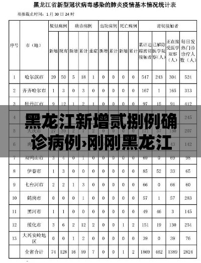 黑龙江新增贰捌例确诊病例›刚刚黑龙江发布紧急通知 黑龙江新增贰捌例确诊病例›刚刚黑龙江发布紧急通知