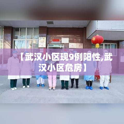 【武汉小区现9例阳性,武汉小区危房】