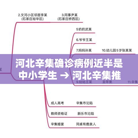 河北辛集确诊病例近半是中小学生 → 河北辛集推行高龄津贴免申即享