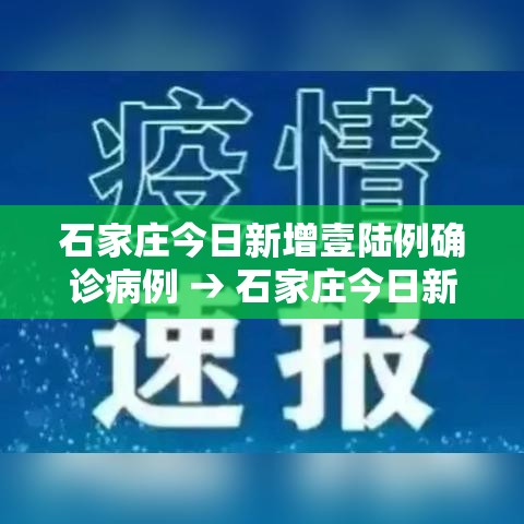 石家庄今日新增壹陆例确诊病例 → 石家庄今日新增壹陆例确诊病例详情 石家庄今日新增壹陆例确诊病例 → 石家庄今日新增壹陆例确诊病例详情