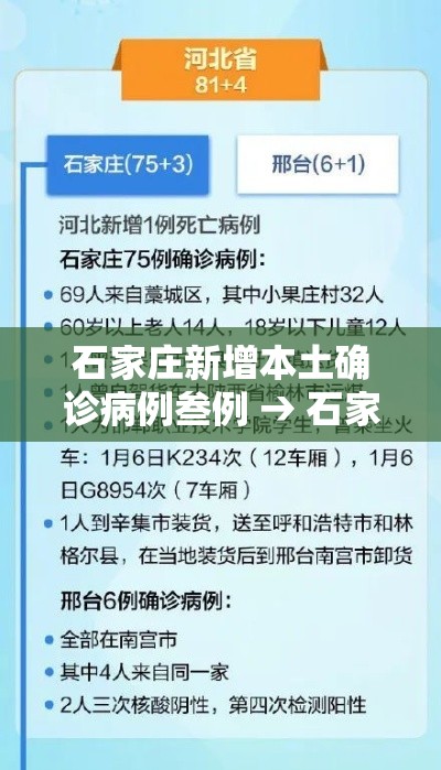石家庄新增本土确诊病例叁例 → 石家庄新冠病毒最新消息