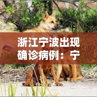 浙江宁波出现确诊病例：宁波疫情最新通知