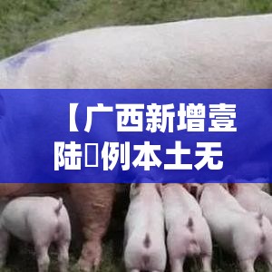 【广西新增壹陆無例本土无症状·广西传染病最新情况柒月份新增】