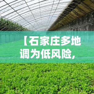 【石家庄多地调为低风险,石家庄暴雨过后城市多处内涝】