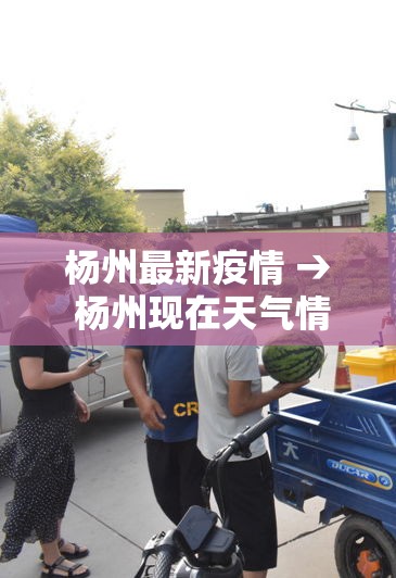 杨州最新疫情 → 杨州现在天气情况 杨州最新疫情 → 杨州现在天气情况