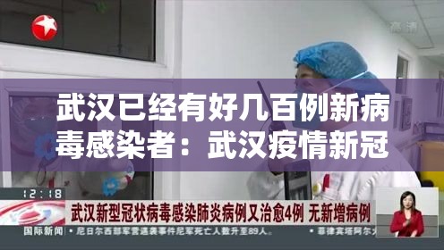 武汉已经有好几百例新病毒感染者：武汉疫情新冠病毒