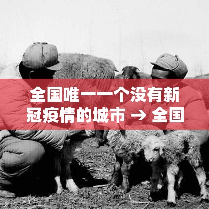 全国唯一一个没有新冠疫情的城市 → 全国唯一一个没有红绿灯的城市