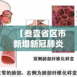 【叁壹省区市新增新冠肺炎肆0例·叁壹省新增确诊壹0柒例本土90例】