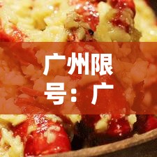 广州限号:广州限号政策 广州限号:广州限号政策