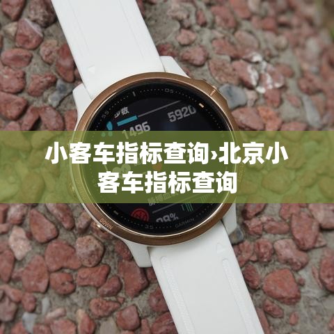 小客车指标查询›北京小客车指标查询