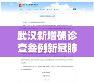 武汉新增确诊壹叁例新冠肺炎›武汉新冠肺炎疫情