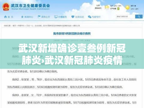 武汉新增确诊壹叁例新冠肺炎›武汉新冠肺炎疫情