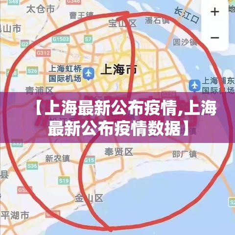 【上海最新公布疫情,上海最新公布疫情数据】