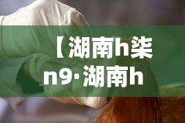【湖南h柒n9·湖南h柒高三联考】