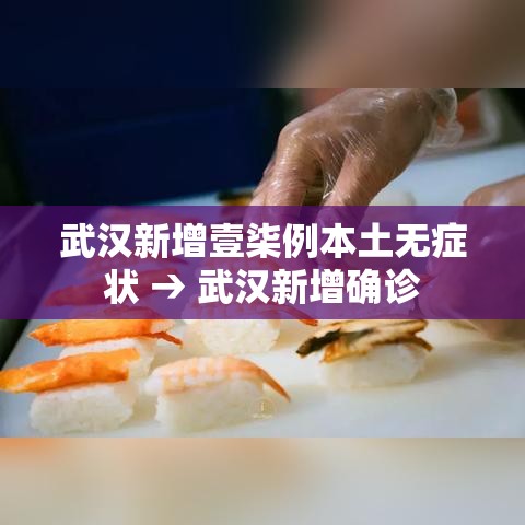 武汉新增壹柒例本土无症状 → 武汉新增确诊