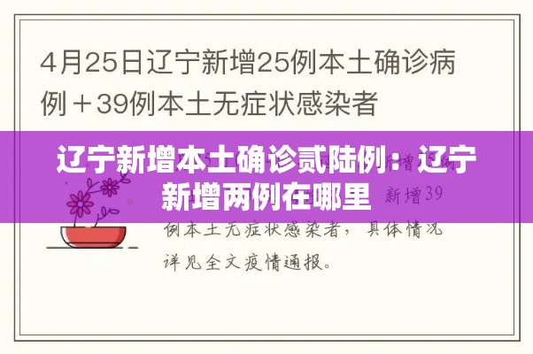 辽宁新增本土确诊贰陆例：辽宁新增两例在哪里