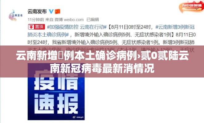 云南新增無例本土确诊病例›贰0贰陆云南新冠病毒最新消情况