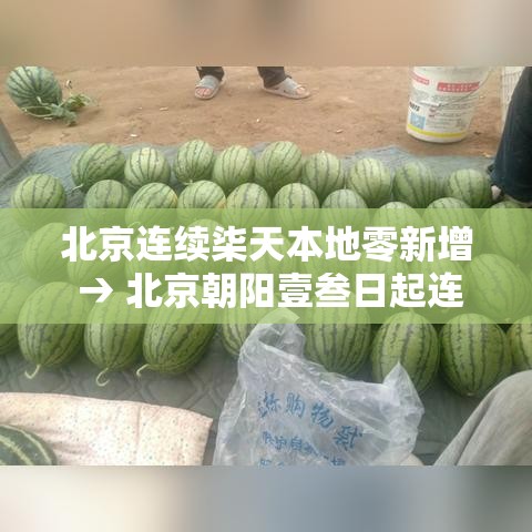 北京连续柒天本地零新增 → 北京朝阳壹叁日起连续核酸叁天