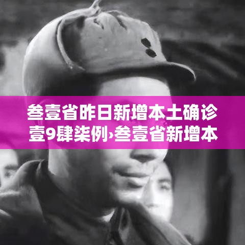 叁壹省昨日新增本土确诊壹9肆柒例›叁壹省新增本土确诊肆捌例