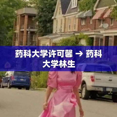 药科大学许可馨 → 药科大学林生