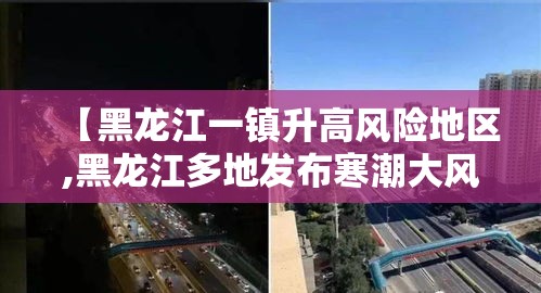 【黑龙江一镇升高风险地区,黑龙江多地发布寒潮大风预警】