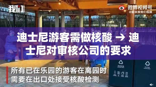 迪士尼游客需做核酸 → 迪士尼对审核公司的要求
